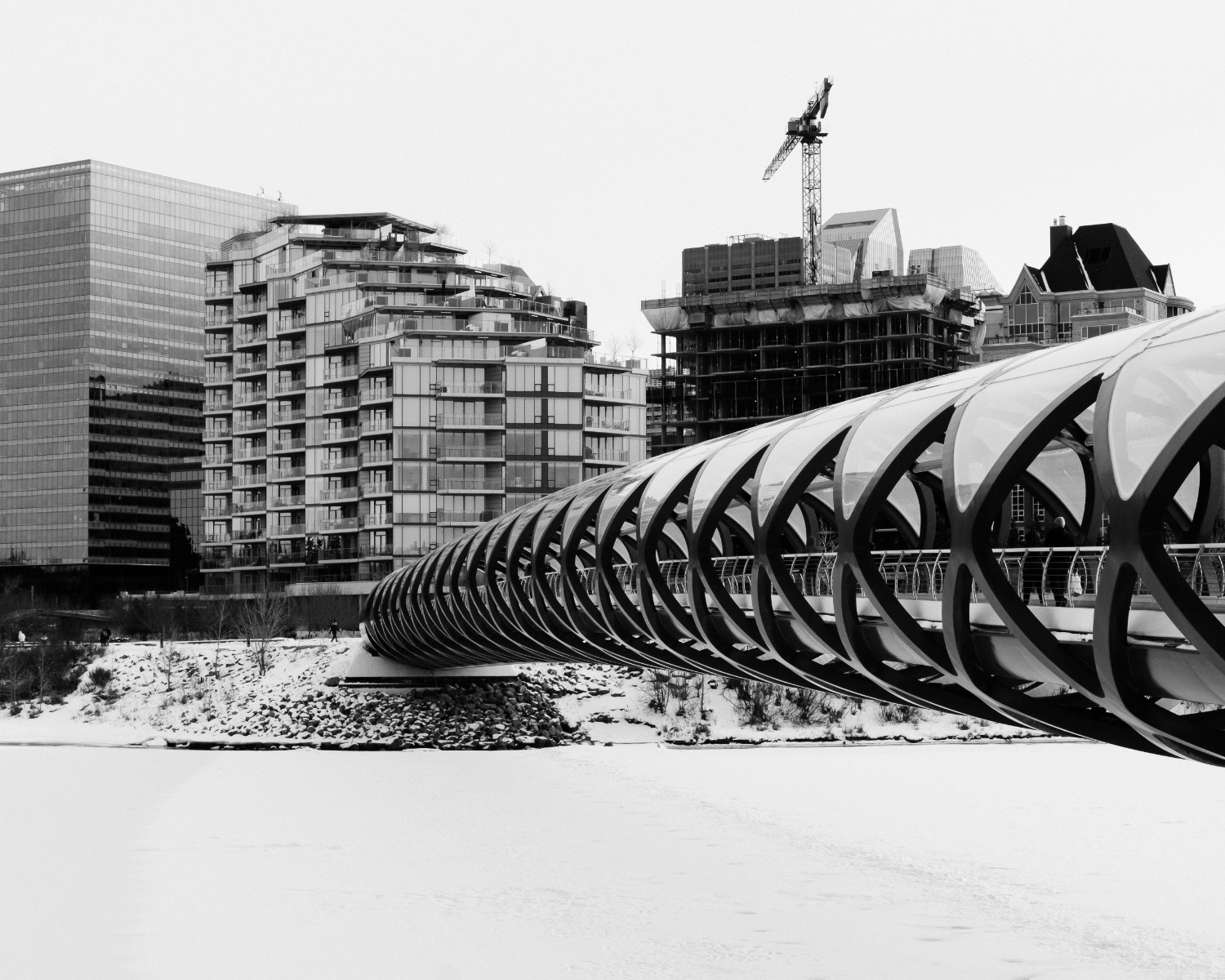 B&W Photo 3